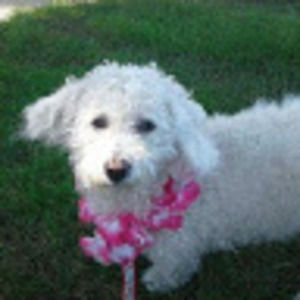 Meet your Posher, Sergio